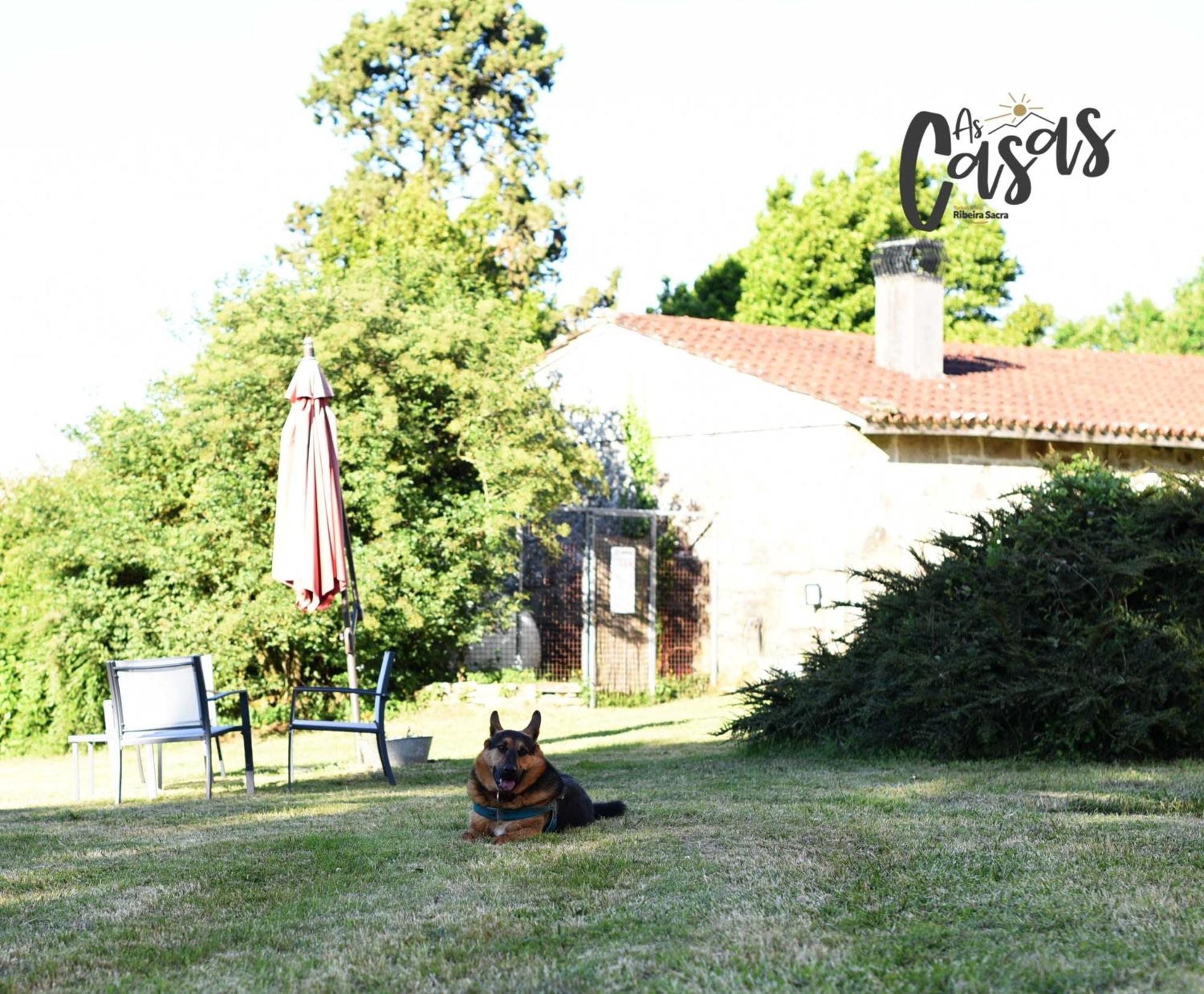 فندق As Casas Ribeira Sacra تشانتادا المظهر الخارجي الصورة
